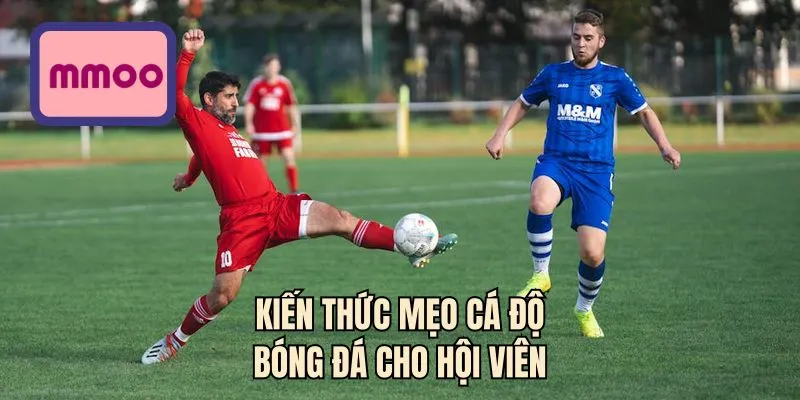 Kiến thức mẹo cá độ bóng đá cho hội viên